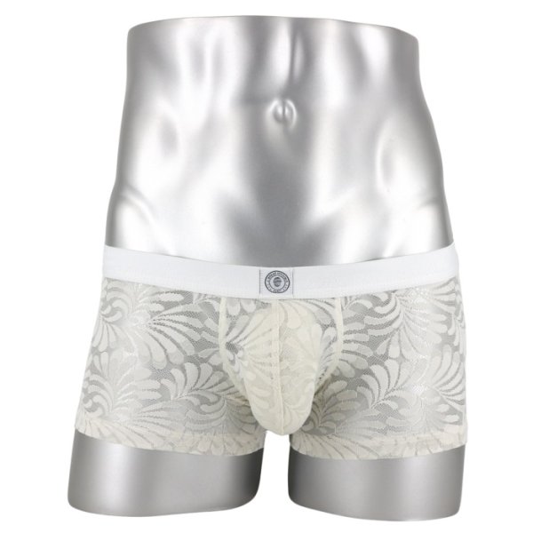 画像3: L'Homme Invisible【ロームアンヴィジーブル】 ボクサーパンツ メンズ ローライズボクサー パンツ メンズインナー メンズ下着 ボクサーバンツ ブランド Plume D'Argent レース メッシュ ボクサー