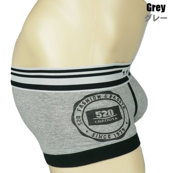 画像4: メンズ ローライズ ボクサーパンツ