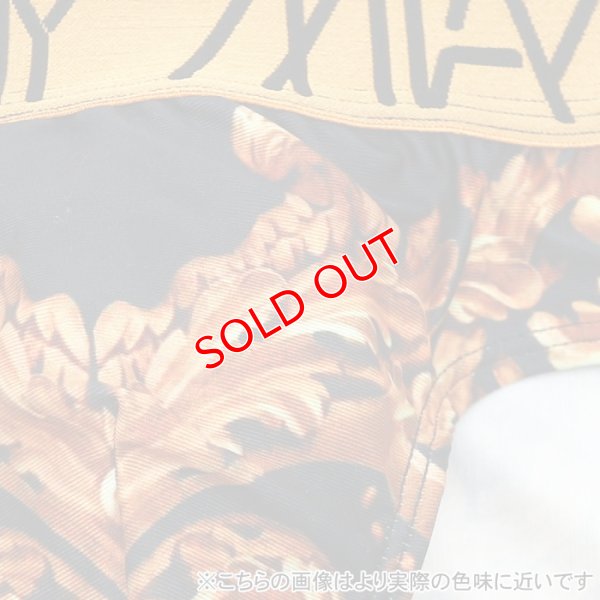 画像10: 【ダニーマイアミ】Royal Black ビキニブリーフ