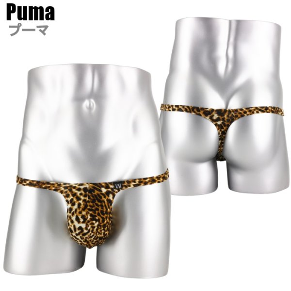 画像12: U.M. 男性下着 メンズTバック 極小アニマル柄Tバック Under Moon/アンダームーン