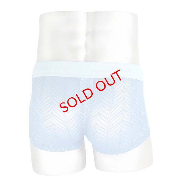 画像4: L'Homme Invisible【ロームアンヴィジーブル】 レース メッシュ ボクサー メンズ下着 ローライズボクサー Celestial Dreams