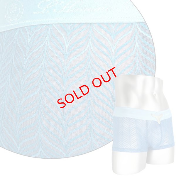 画像6: L'Homme Invisible【ロームアンヴィジーブル】 レース メッシュ ボクサー メンズ下着 ローライズボクサー Celestial Dreams