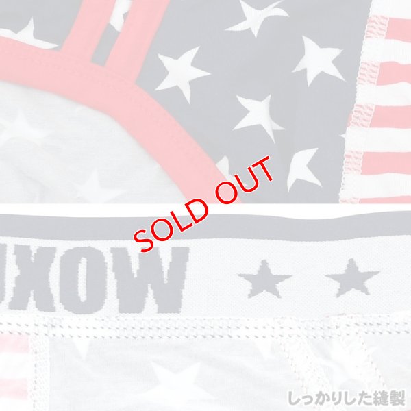 画像8: 【ウォーシャン】メンズUSA アメリカ国旗 ビキニブリーフ