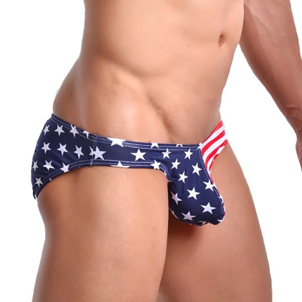 画像4: 【ウォーシャン】メンズUSA アメリカ国旗 ビキニ