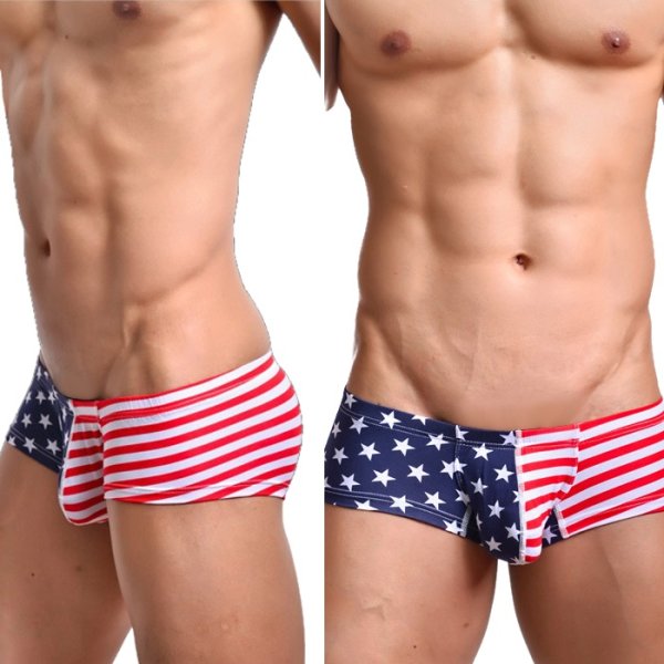 画像2: 【ウォーシャン】USA アメリカ国旗 ローライズボクサーパンツ