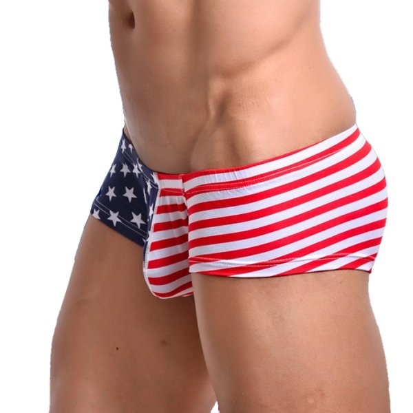 画像4: 【ウォーシャン】USA アメリカ国旗 ローライズボクサーパンツ