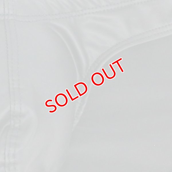 画像4: 【ウォーム】メンズビキニ レザーテイスト ビキニ (4)