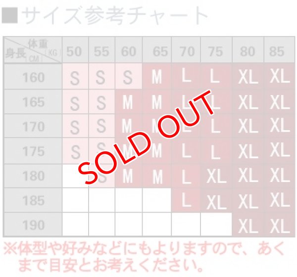 画像12: 【WJ】迷彩メッシュ ビキニブリーフ (12)