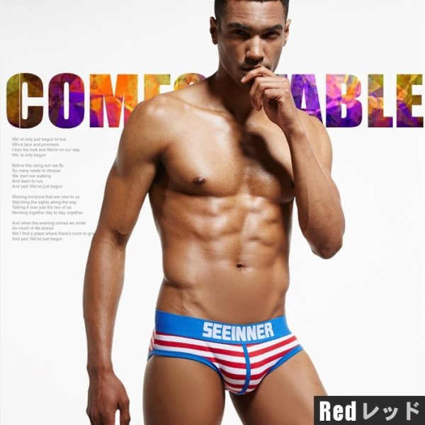 画像12: 【シーインナー】ストライプ柄ブリーフビキニ (12)