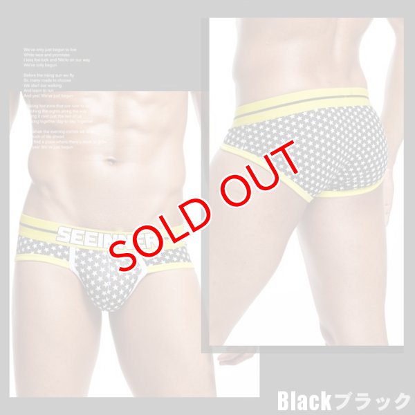 画像9: 【シーインナー】スター柄ブリーフビキニ (9)