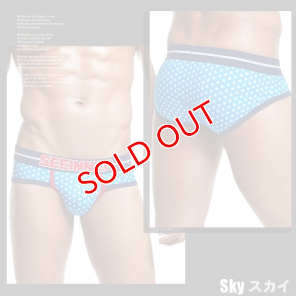 画像4: 【シーインナー】スター柄ブリーフビキニ (4)