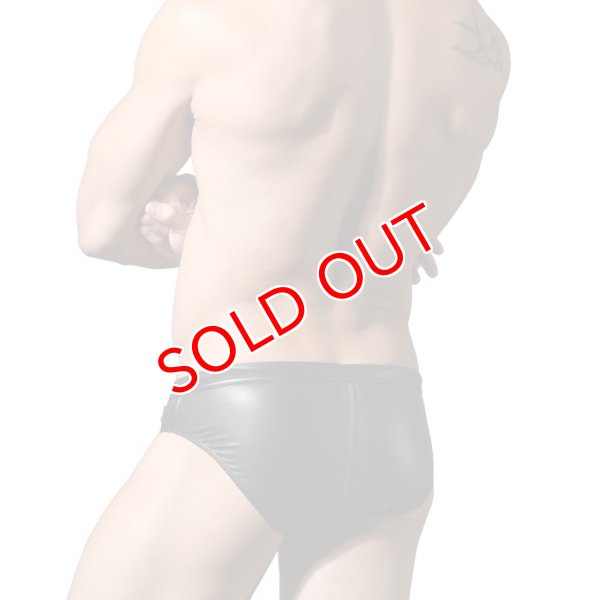 画像4: Andrew Christian【アンドリュークリスチャン】メンズ男性水着 ビキニ水着 ブーメラン水着 FUKR ジッパー ビキニ スイムウェア (4)