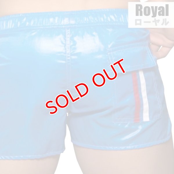 画像6: 【アンドリュークリスチャン】メンズ水着 海パン ショート丈 スイムショーツ Diver (6)