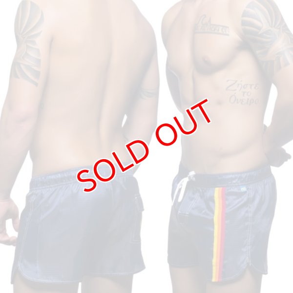 画像3: 【アンドリュークリスチャン】スイムショーツ California Collection (3)