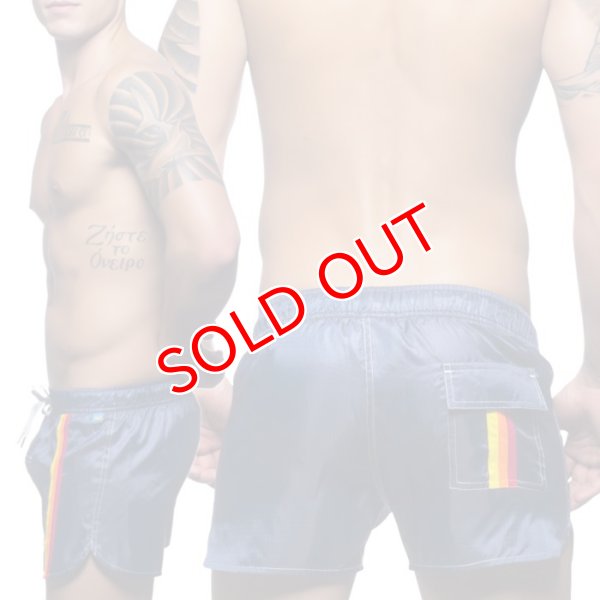 画像4: 【アンドリュークリスチャン】スイムショーツ California Collection (4)