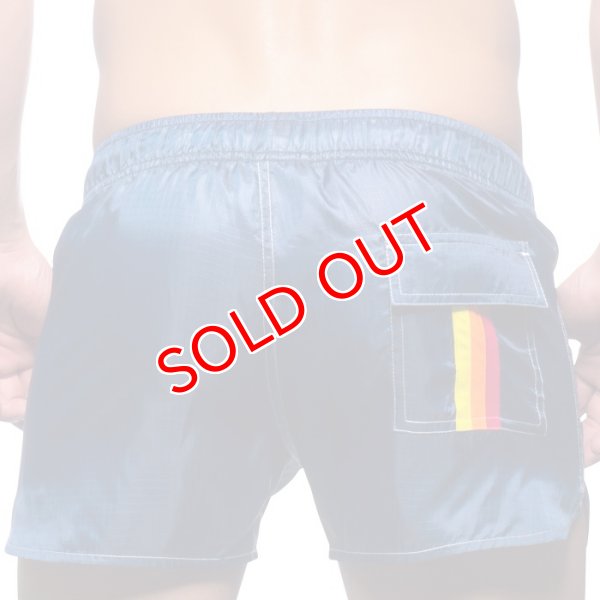 画像5: 【アンドリュークリスチャン】スイムショーツ California Collection (5)