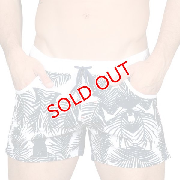 画像2: 【アンドリュークリスチャン】スイムショーツ Tropics Swim Shorts (2)