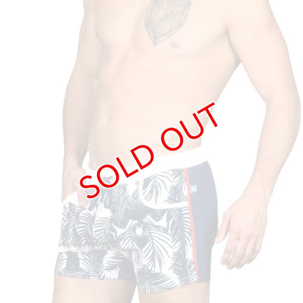 画像6: 【アンドリュークリスチャン】スイムショーツ Tropics Swim Shorts (6)