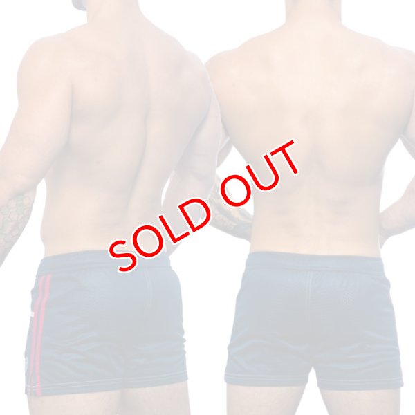 画像4: 【アンドリュークリスチャン】スイムショーツ Sports Mesh Swim Shorts (4)