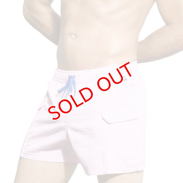 画像3: 【アンドリュークリスチャン】スイムショーツ Hampton (3)