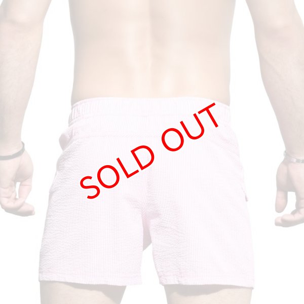 画像4: 【アンドリュークリスチャン】スイムショーツ Hampton (4)