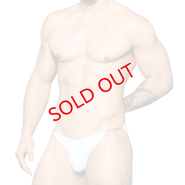 画像3: Andrew Christian【アンドリュークリスチャン】  男性水着 ブーメラン ビキニ 競泳パンツSnakeskin Bikini Almost Naked (3)