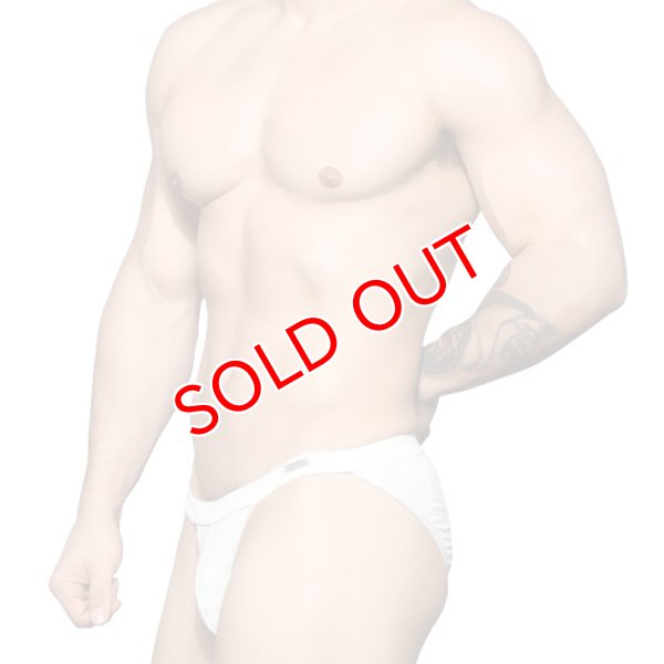 画像3: Andrew Christian【アンドリュークリスチャン】  男性水着 ブーメラン ビキニ 競泳パンツSnakeskin Bikini Almost Naked (3)