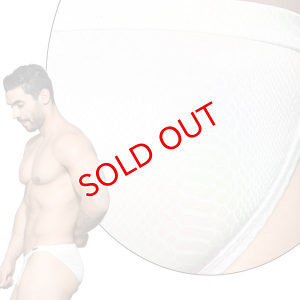 画像6: Andrew Christian【アンドリュークリスチャン】  男性水着 ブーメラン ビキニ 競泳パンツSnakeskin Bikini Almost Naked (6)