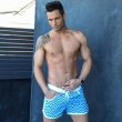 画像2: Andrew Christian【アンドリュークリスチャン】メンズ水着 海パン ブランド ショート丈 スイムショーツ Waves Swim Shorts (2)