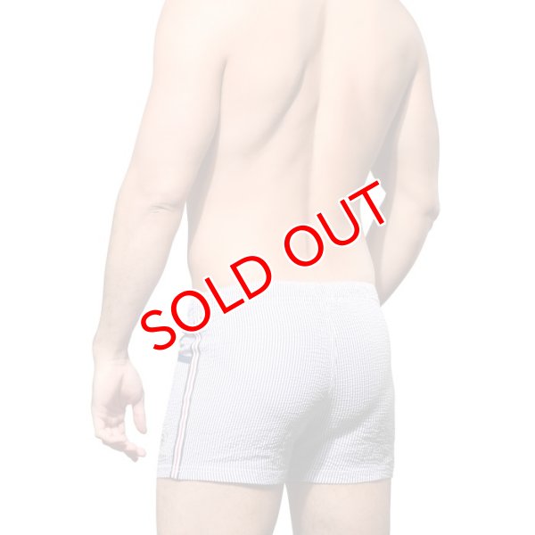 画像4: Andrew Christian【アンドリュークリスチャン】メンズ水着 海パン ブランド ショート丈 スイムショーツ Retro Stripe(7968) (4)