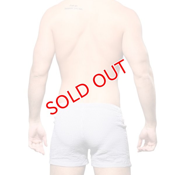 画像5: Andrew Christian【アンドリュークリスチャン】メンズ水着 海パン ブランド ショート丈 スイムショーツ Retro Stripe(7968) (5)