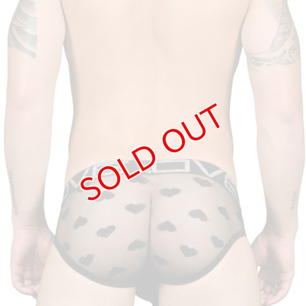 画像4: 【アンドリュークリスチャン】Love Sweetheart メッシュ ビキニブリーフ (4)