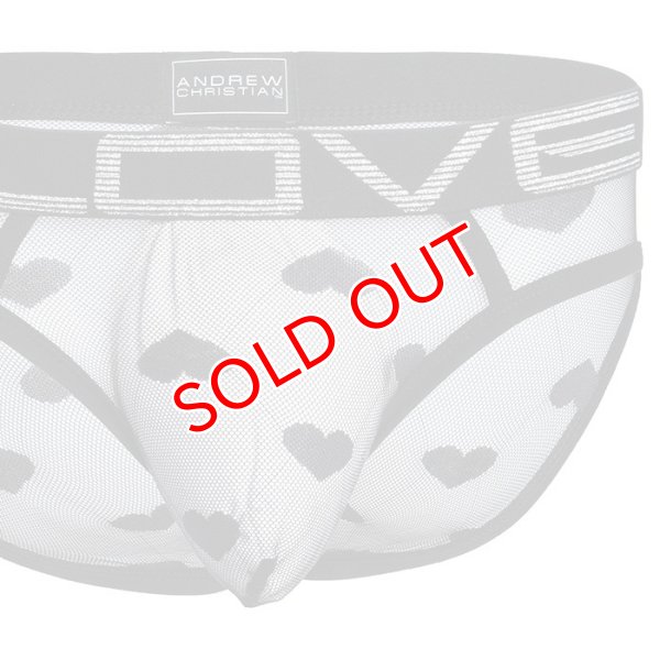 画像5: 【アンドリュークリスチャン】Love Sweetheart メッシュ ビキニブリーフ (5)