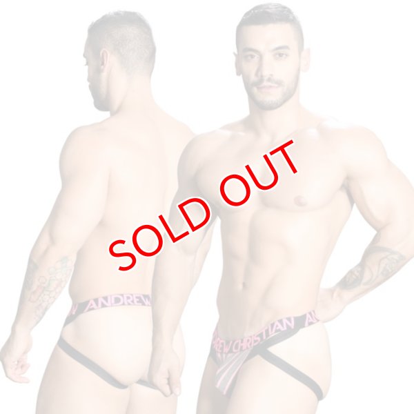 画像3: 【アンドリュークリスチャン】Physical Stripe ジョックストラップ w/ Almost Naked (3)