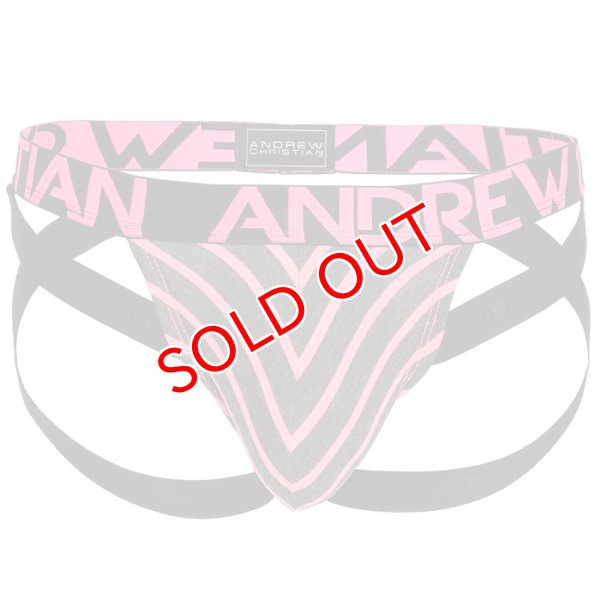 画像8: 【アンドリュークリスチャン】Physical Stripe ジョックストラップ w/ Almost Naked (8)