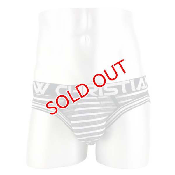 画像4: 【アンドリュークリスチャン】Glitter Almost Naked メッシュ シースルー ブリーフ (4)