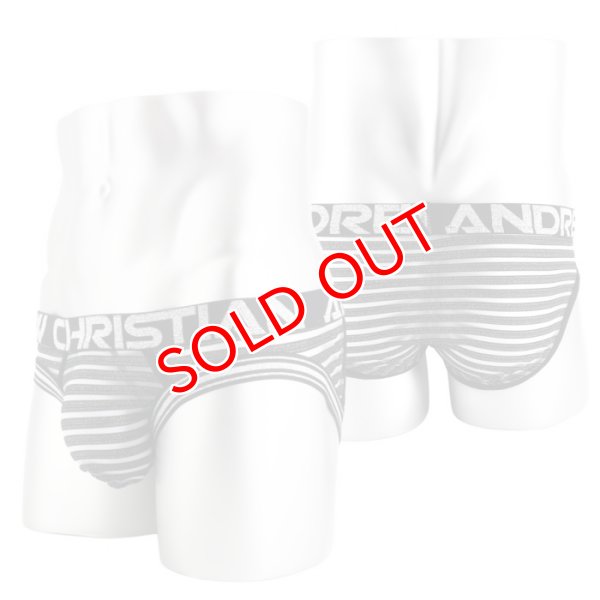 画像5: 【アンドリュークリスチャン】Glitter Almost Naked メッシュ シースルー ブリーフ (5)