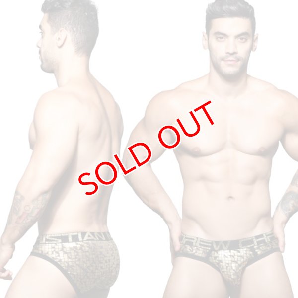 画像2: 【アンドリュークリスチャン】Cubist ビキニブリーフ (2)