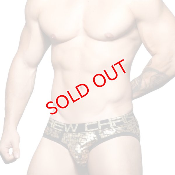 画像3: 【アンドリュークリスチャン】Cubist ビキニブリーフ (3)