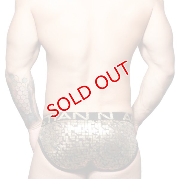 画像5: 【アンドリュークリスチャン】Cubist ビキニブリーフ (5)