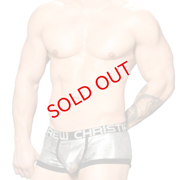 画像3: 【アンドリュークリスチャン】BRILLIANCE ARCHボクサーパンツ 男性用 Tバック (3)