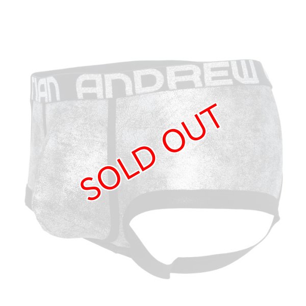 画像6: 【アンドリュークリスチャン】BRILLIANCE ARCHボクサーパンツ 男性用 Tバック (6)