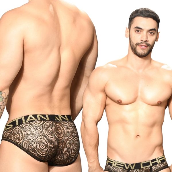 画像2: 【アンドリュークリスチャン】 EL DORADO ALMOST NAKEDメッシュ シースルー  ブリーフ (2)