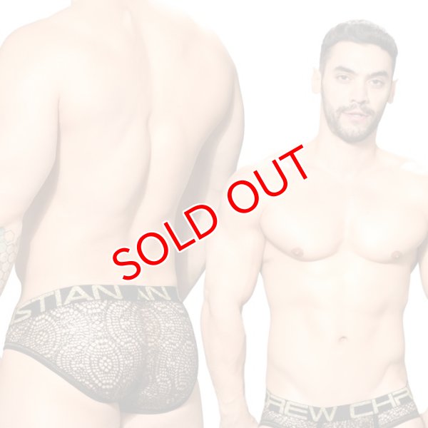 画像2: 【アンドリュークリスチャン】 EL DORADO ALMOST NAKEDメッシュ シースルー  ブリーフ (2)