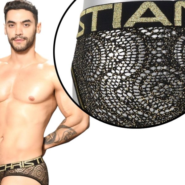 画像6: 【アンドリュークリスチャン】 EL DORADO ALMOST NAKEDメッシュ シースルー  ブリーフ (6)