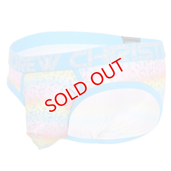 画像6: 【アンドリュークリスチャン】 GLAM LEOPARD ALMOST NAKEDブリーフ (6)