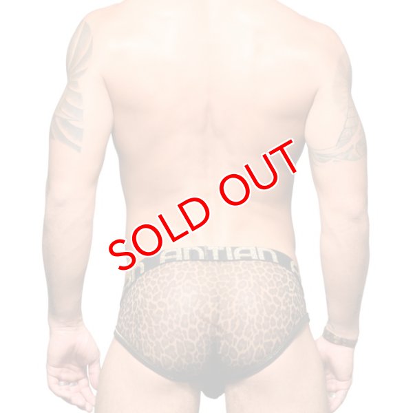画像2: Andrew Christian【アンドリュークリスチャン】 Sheer Leopard Almost Naked メッシュ ブリーフ (2)