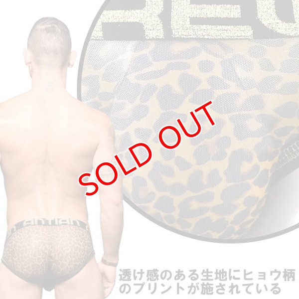 画像6: Andrew Christian【アンドリュークリスチャン】 Sheer Leopard Almost Naked メッシュ ブリーフ (6)