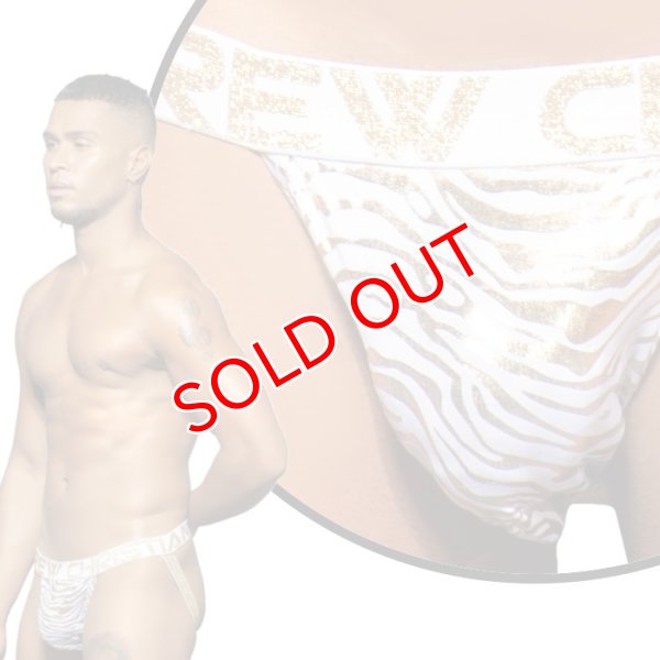 画像5: Andrew Christian【アンドリュークリスチャン】 Golden Tiger Almost Naked ジョックストラップ (5)