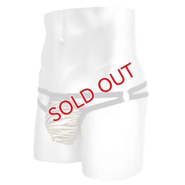 画像3: Andrew Christian【アンドリュークリスチャン】男性用Tバック メンズ Tバック MASSIVE Tiger メッシュ Tバック (3)